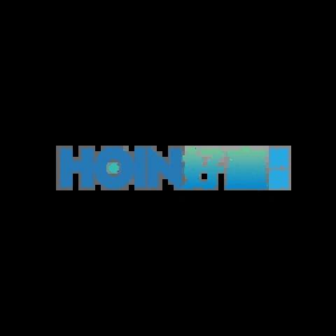 HOIN好贏娛樂城 平台圖片